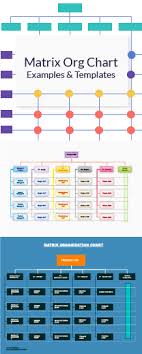 A Matrix Organization Chart Is A Very Common Organizational