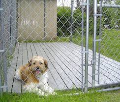 outdoor dog kennels reviews guides