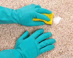 carpet cleaning gol cleaning