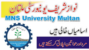 MNS University of Agriculture Multan Jobs May 2022 | Application Procedure | Lecture Jobs in Multan - YouTube