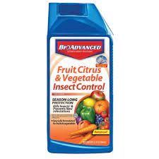 vegetable insect control