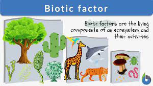 biotic factor definition and exles