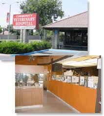 Park community animal hospital is a full service animal hospital and will take all cases, big or small. Veterinary Services Garden Grove Ca Community Veterinary Hospital