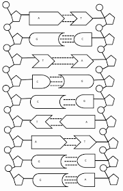 Engage students with this dna coloring sheet. Dna Double Helix Coloring Worksheet Template Library