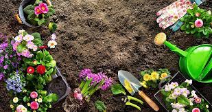 Improve Your Albuquerque Garden Soil