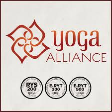 new yoga alliance standards ultimate q a