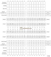 052 Periodontal Chart Template Wiring Resources