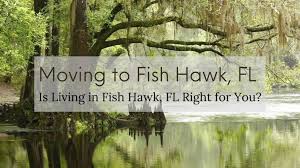 moving to fish hawk fl 2023 guide