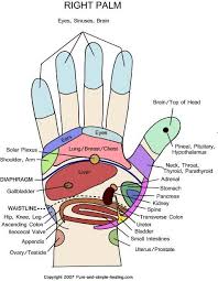 Right Hand Reflexology Chart Reflexology Hand Reflexology