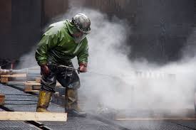 Mold Inspection Removal Services In