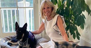 Biden granddaughters finnegan and maisy chose the name champ. Meet First Dogs Major And Champ Who Will Move Into White House With Joe Biden Mirror Online