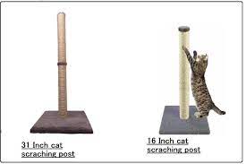 cat scratching post natural sisal pole