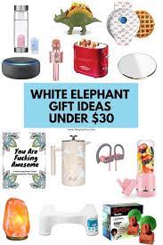 white elephant gift ideas under 30