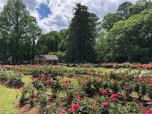 Rose Garden de Raleigh | Horario, Mapa y entradas 3