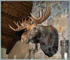 Moose Head Decor Moose Head