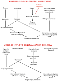 Flow Charts Showing The Scheme Of Pharmacological General