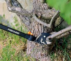 The 10 Best Manual Pole Pruners and Loppers for Tree Trimming - Dengarden