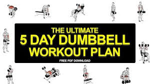 ultimate 5 day dumbbell workout plan