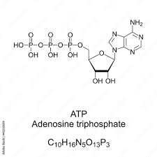 adenosine triphosp atp chemical