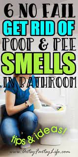 Get Rid Of Smells In Bathroom