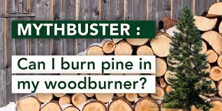 Myth Buster Can I Burn Pine And Other