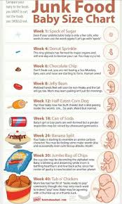 Junk Food Baby Size Chart Baby Size Chart Baby Chart