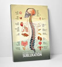 Chiropractic Posters Organ Spine And Nerve Chart Premium Canvas Wrapped Chiropractic Poster