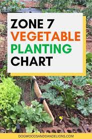 Zone 7 Vegetable Planting Chart