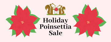 St. Johns Swapnplay Holiday Poinsettia Sale - St. Johns Swapnplay
