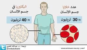 عدد الخلايا في جسم الانسان لا يكبر منذ الولاده