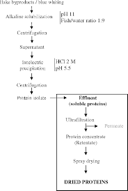 Flow Chart For Protein Recovery Download Scientific Diagram
