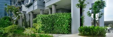 Outdoor Artificial Vertical Garden Wall