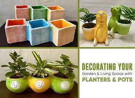 Living Space With Planters Pots