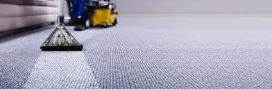 carpet cleaning services to protect