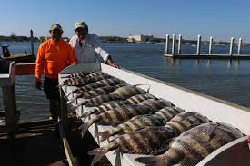 fish reports madness charters