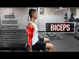 bicep workouts the 4 best exercises to