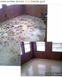butler pa carpet cleaning
