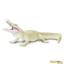 Shop walmart.com for every day low prices. Safaripedia Albino White Alligator