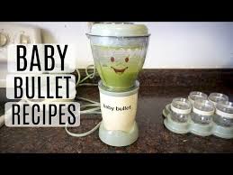 baby bullet recipes you