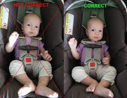 Evenflo Maestro Car Seat Belt