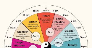 chinese body clock about benefits