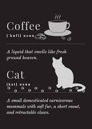 cat and coffe definition asterme