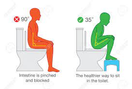 Correct Sitting Get The Proper Degree Angle Of Body On Toilet Seat For Help  With Excretion. Royalty Free SVG, Cliparts, Vectors, And Stock  Illustration. Image 79737053.