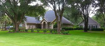 Add some money for incidentals. Lawn Maintenance In Gainesville Fl