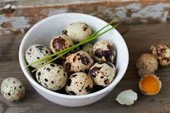 Comment conserver les œufs de caille ?