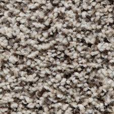 carpet surrey coquitlam and