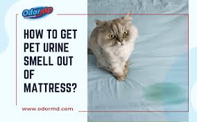 pet urine smell out of mattress odor