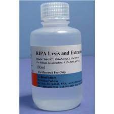ripa lysis and extraction buffer ripa