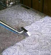 carpet cleaning auckland services