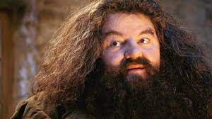 Zo ziet Hagrid van Harry Potter er in het echt uit - herken jij hem?